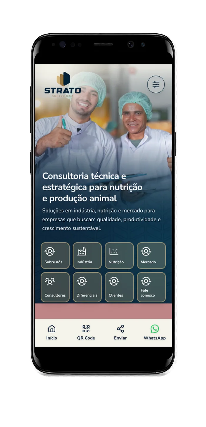 Visão no Celular da Strato Consultoria